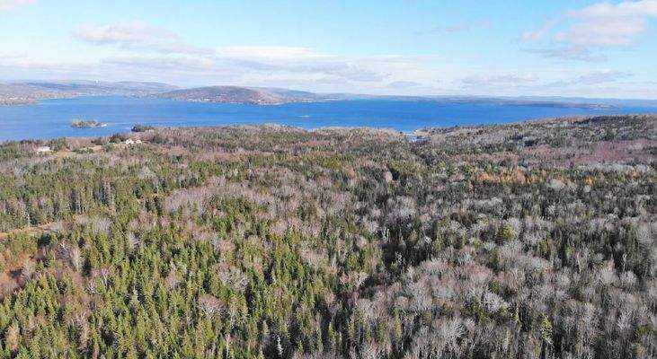 Cape Breton - Bras d`Or Lake - 18-Hektar-Areal in 