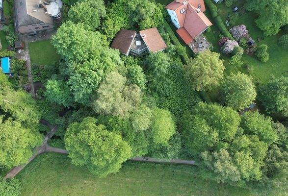 Es müssen nur die Büsche weg.jpg