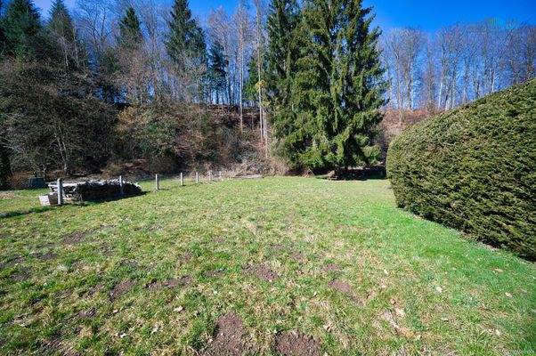 Blick zum Spitzberg DSC_0576