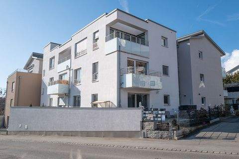 Friedrichshafen / Schnetzenhausen Wohnungen, Friedrichshafen / Schnetzenhausen Wohnung kaufen