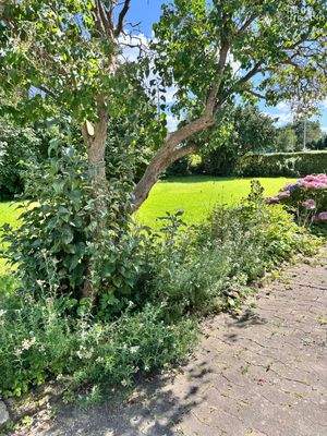 20250810_123206649_iOS