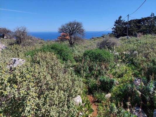 WhatsApp Image 2024-03-12 at 14.15.50_c32e5eca.jpg