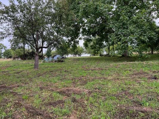 Garten/Obstwiese