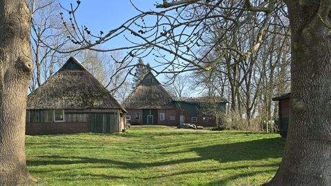 Neuendorf-Sachsenbande Häuser, Neuendorf-Sachsenbande Haus kaufen