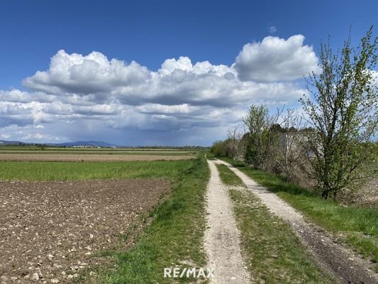 Feldwege in der Nähe