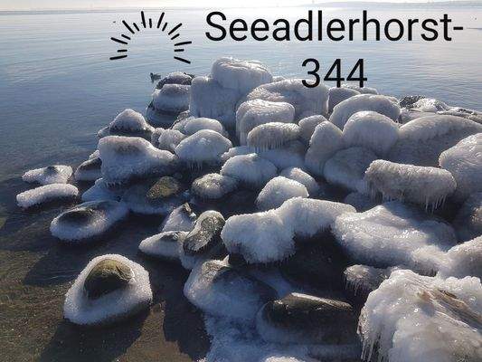 Erlebnis Winterspaziergang