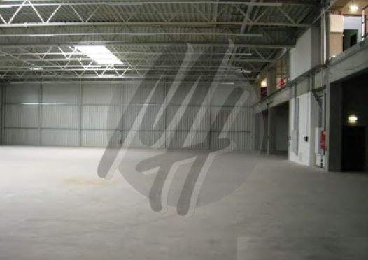 INFOS UNTER: 06171-586000