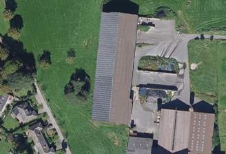 TIM Online 2025 (4).png