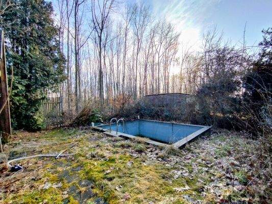 Garten mit Pool und Zugang zum Wald