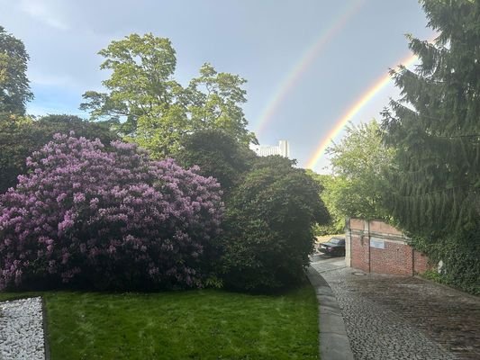 Luscious Garden