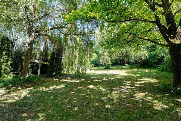 Garten hinterer Bereich mit Wald