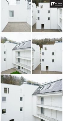 Bild 22