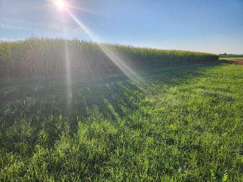 Fuchstal Bauernhöfe, Landwirtschaft, Fuchstal Forstwirtschaft
