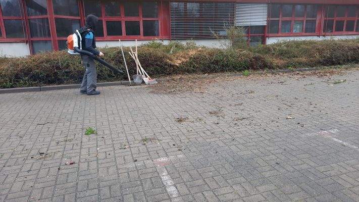 Image 2024-11-26 at 08.35.08.jpeg