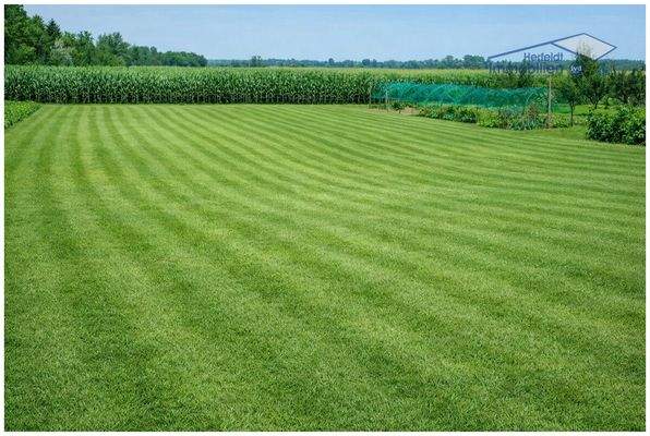 Sehr groß und viel Potenzial