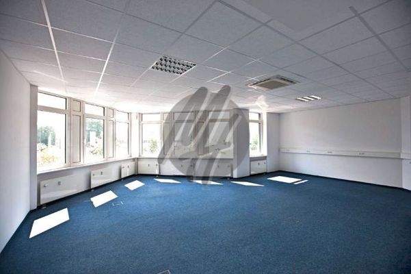 INFOS UNTER: 06171-586000