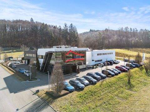 Stockach Halle, Stockach Hallenfläche