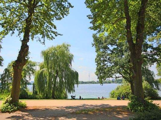 Alster vor der Haustür