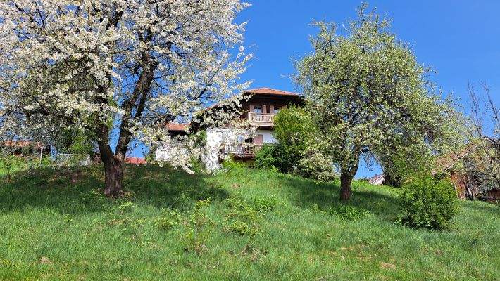 Außenansicht vom Garten 