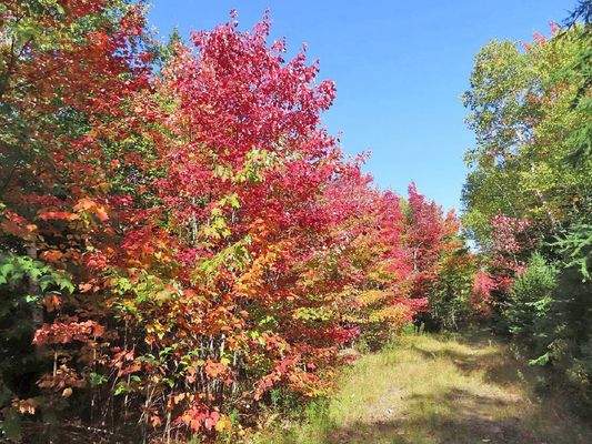 Nova Scotia - West Side Country Harbour - 52-Hekta