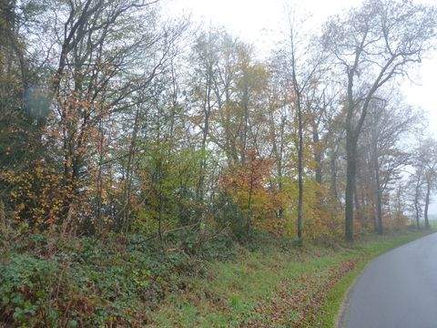 Waldbröl Bauernhöfe, Landwirtschaft, Waldbröl Forstwirtschaft