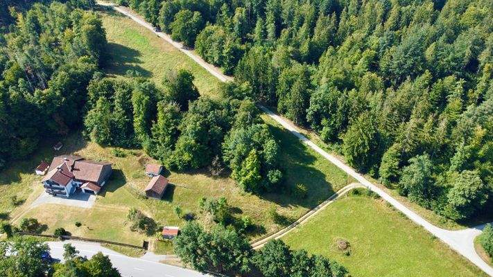 Luftbild- Hof und Weide.jpg