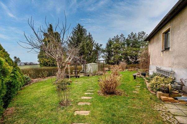 Garten mit Potential