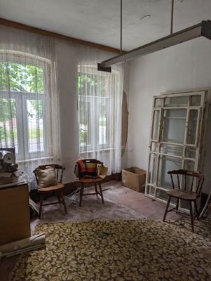 Fenster Wohnzimmer 2