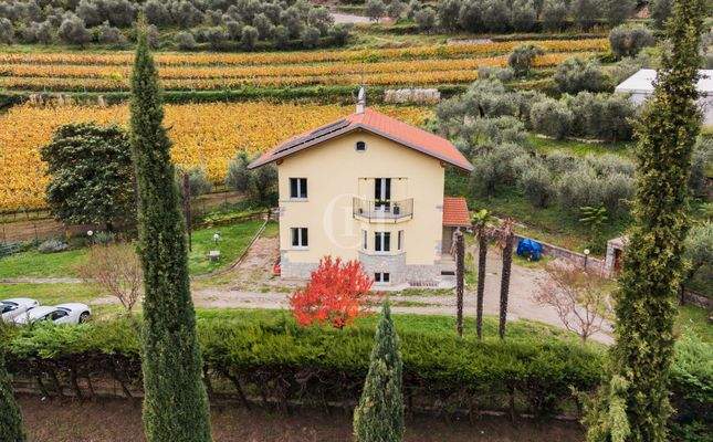 Panoramische Ansicht