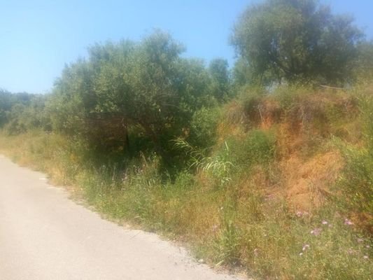 Kreta, Maleme: Grundstück mit Meerblick innerhalb des Stadtplans zu verkaufen