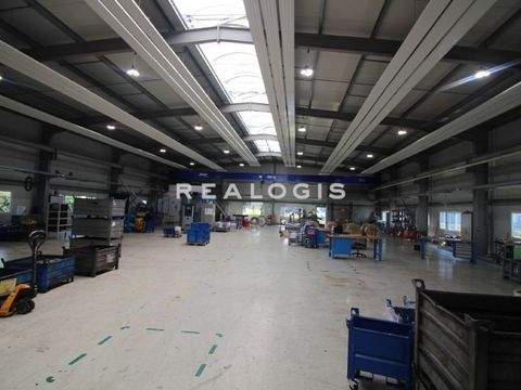 Maintal Halle, Maintal Hallenfläche