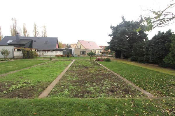 Nutzgarten mit Blick zum Haus