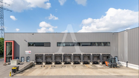 Pulheim Halle, Pulheim Hallenfläche