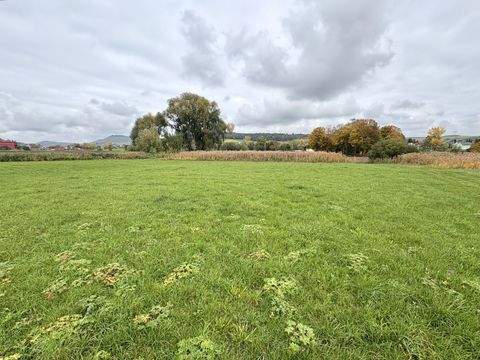 Bopfingen / Trochtelfingen Bauernhöfe, Landwirtschaft, Bopfingen / Trochtelfingen Forstwirtschaft
