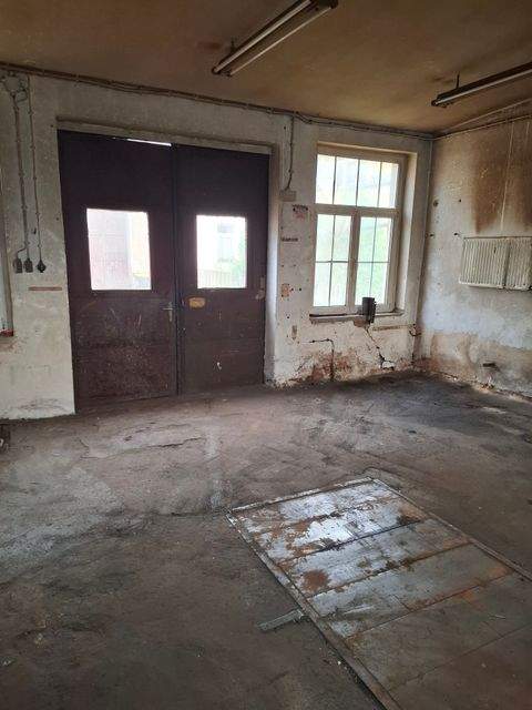 Penig Halle, Penig Hallenfläche