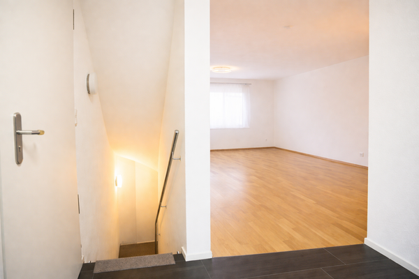 Eingangsbereich mit Kellerzugang.png