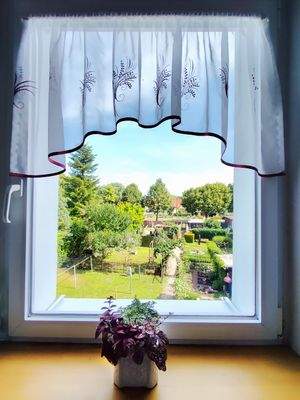Blick in den Garten