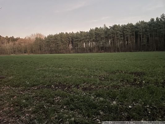 Beispielfoto