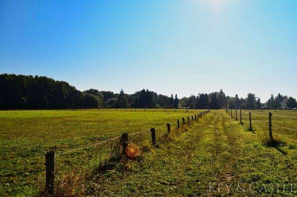 Aufgang zu den Wiesen