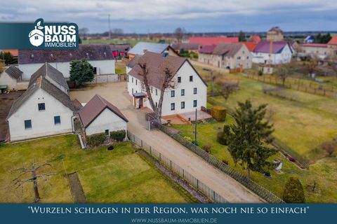 Uebigau-Wahrenbrück Häuser, Uebigau-Wahrenbrück Haus kaufen