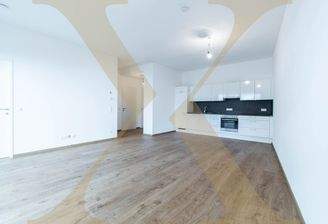 Wohn-, Ess- und Kochbereich