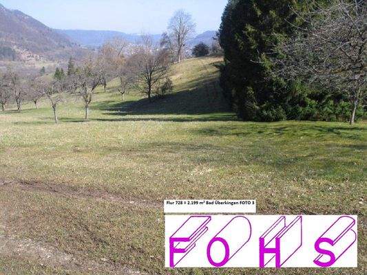 Flur 728/0=2.199 m² Bad Überk.FOTO 3