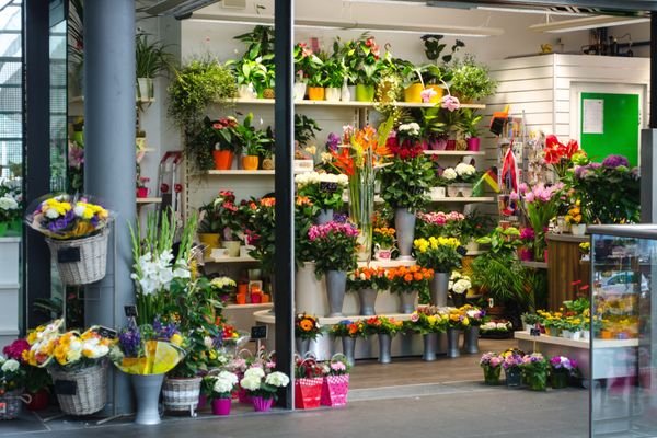 Blumenladen im shoppingcenter mieten oder kauefn- immo4-g