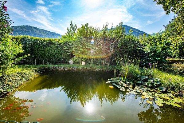 Ausblick auf die Almtaler Berge