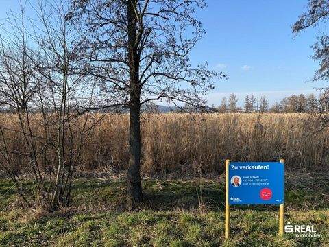 Haselbach Bauernhöfe, Landwirtschaft, Haselbach Forstwirtschaft