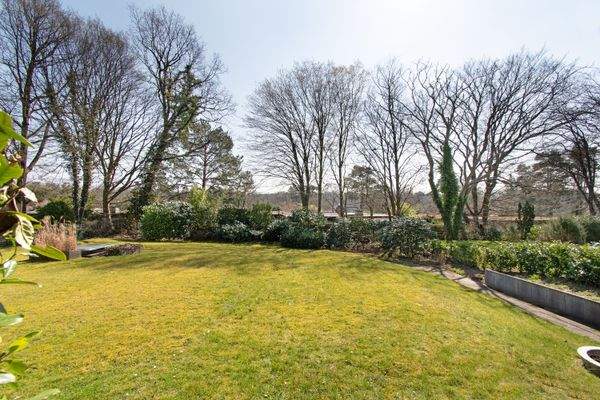 Weitläufiger Gemeinschaftsgarten.jpg