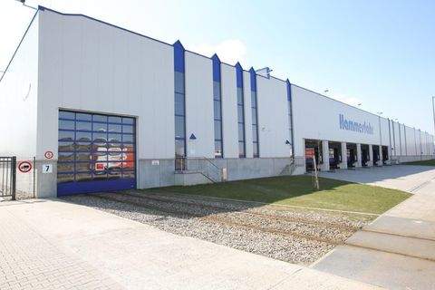 Monheim am Rhein Halle, Monheim am Rhein Hallenfläche