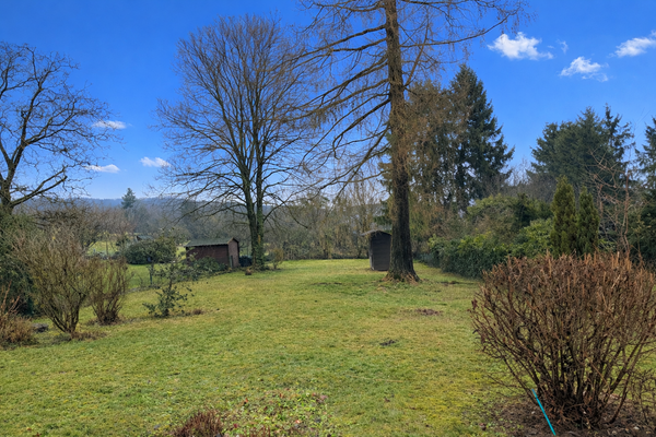 Heller Garten unter blauem Himmel.png