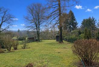 Heller Garten unter blauem Himmel.png