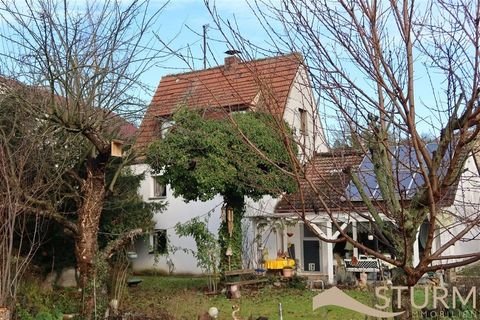 Würzburg Häuser, Würzburg Haus kaufen